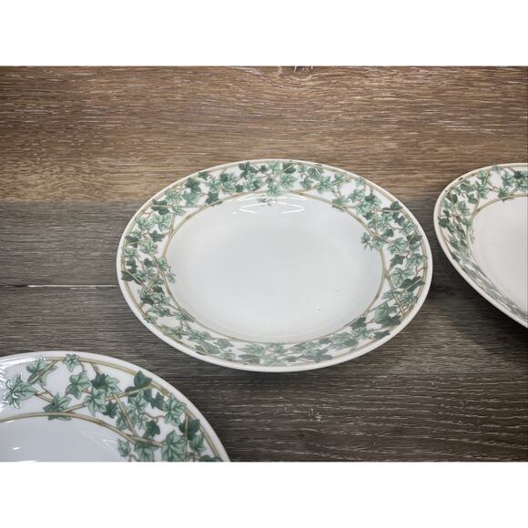 Christopher Stuart IVY PARK 8-1/4”Rimmed Salad/Soup Bowl Japan ~Set Of 4 - Picture 3 of 16